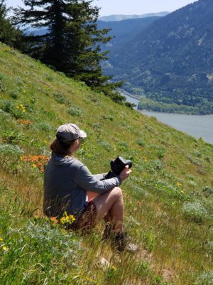 family, dog mountain, photographer