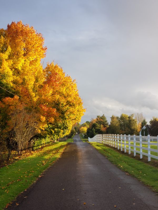 Fall in the Northwest