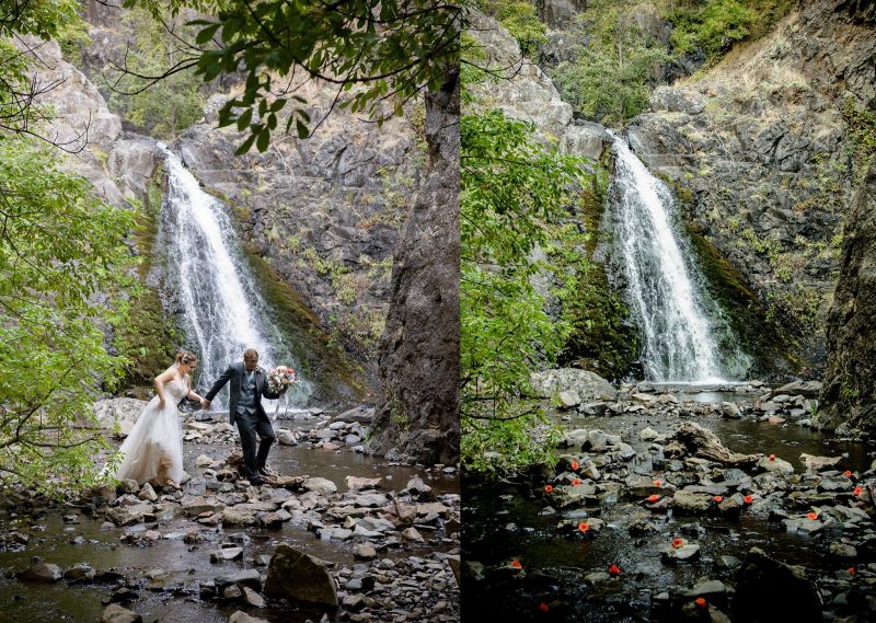 Dog Creek - Shelly Fry Photography