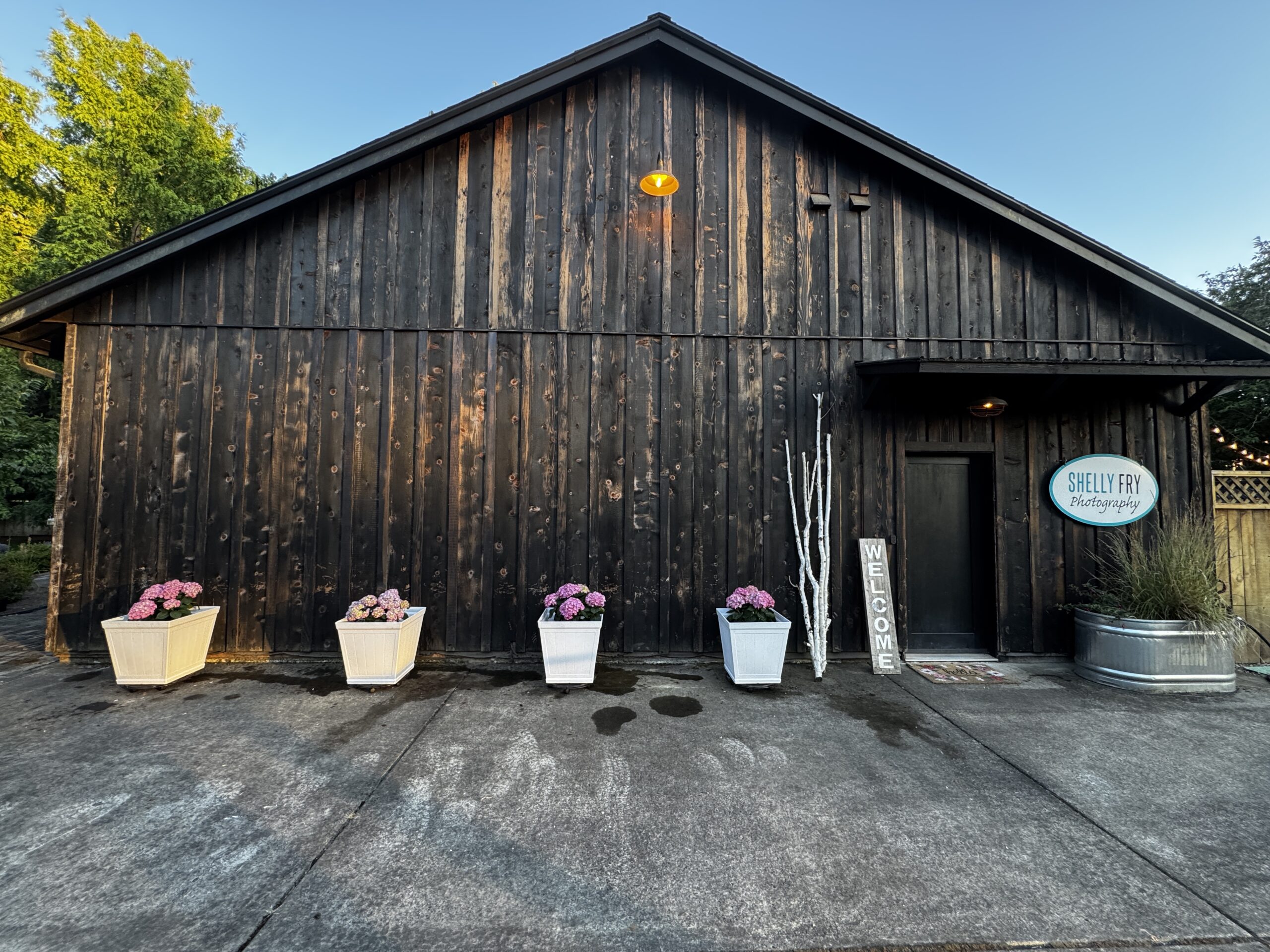 Shelly Fry Photography