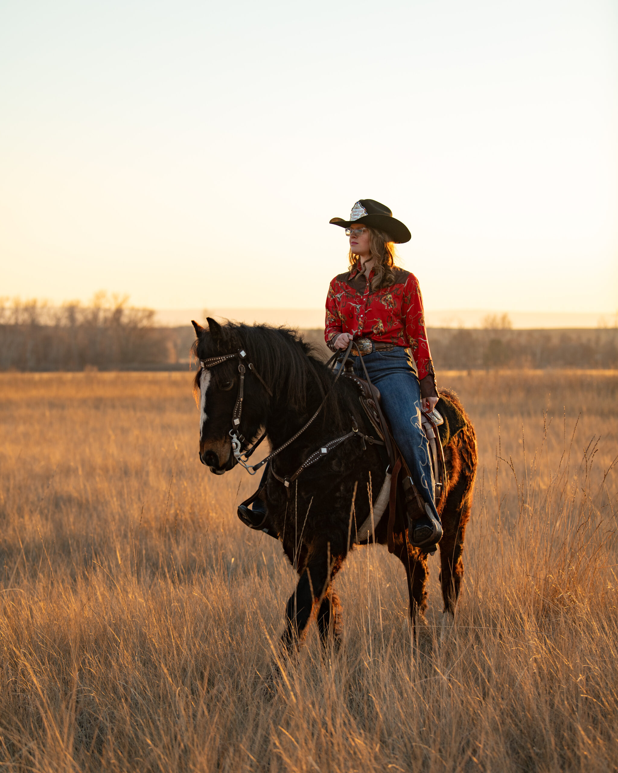 Senior horse photography