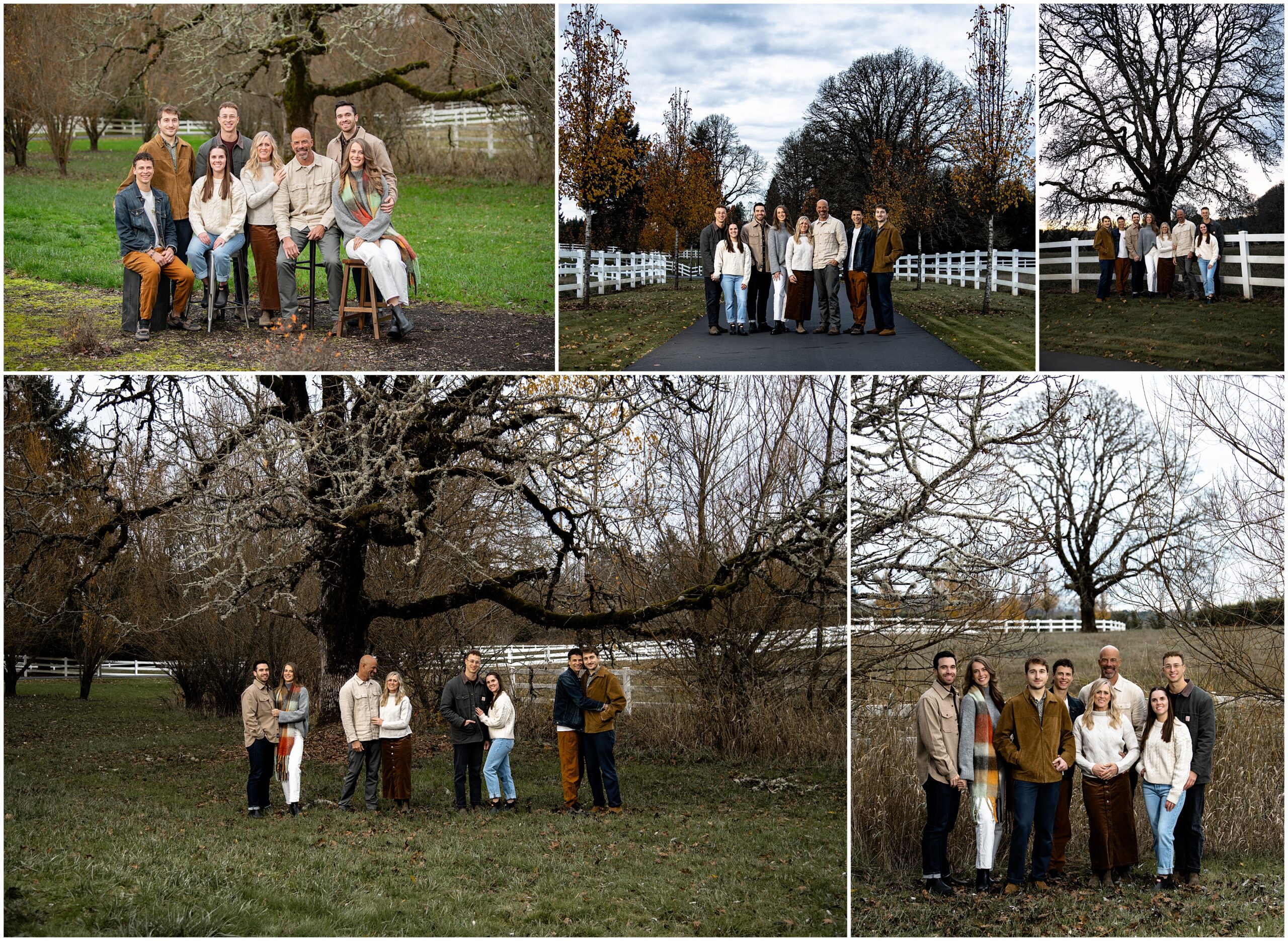 holiday photo sessions