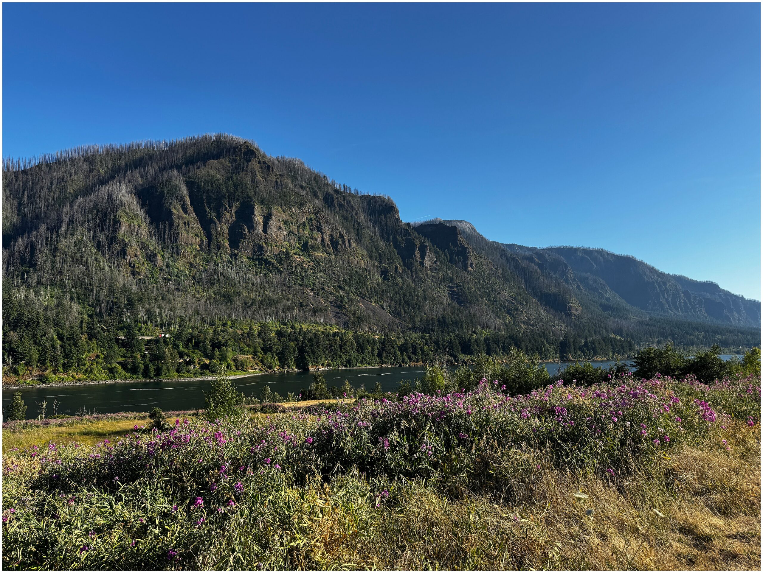 Shelly Fry Photography