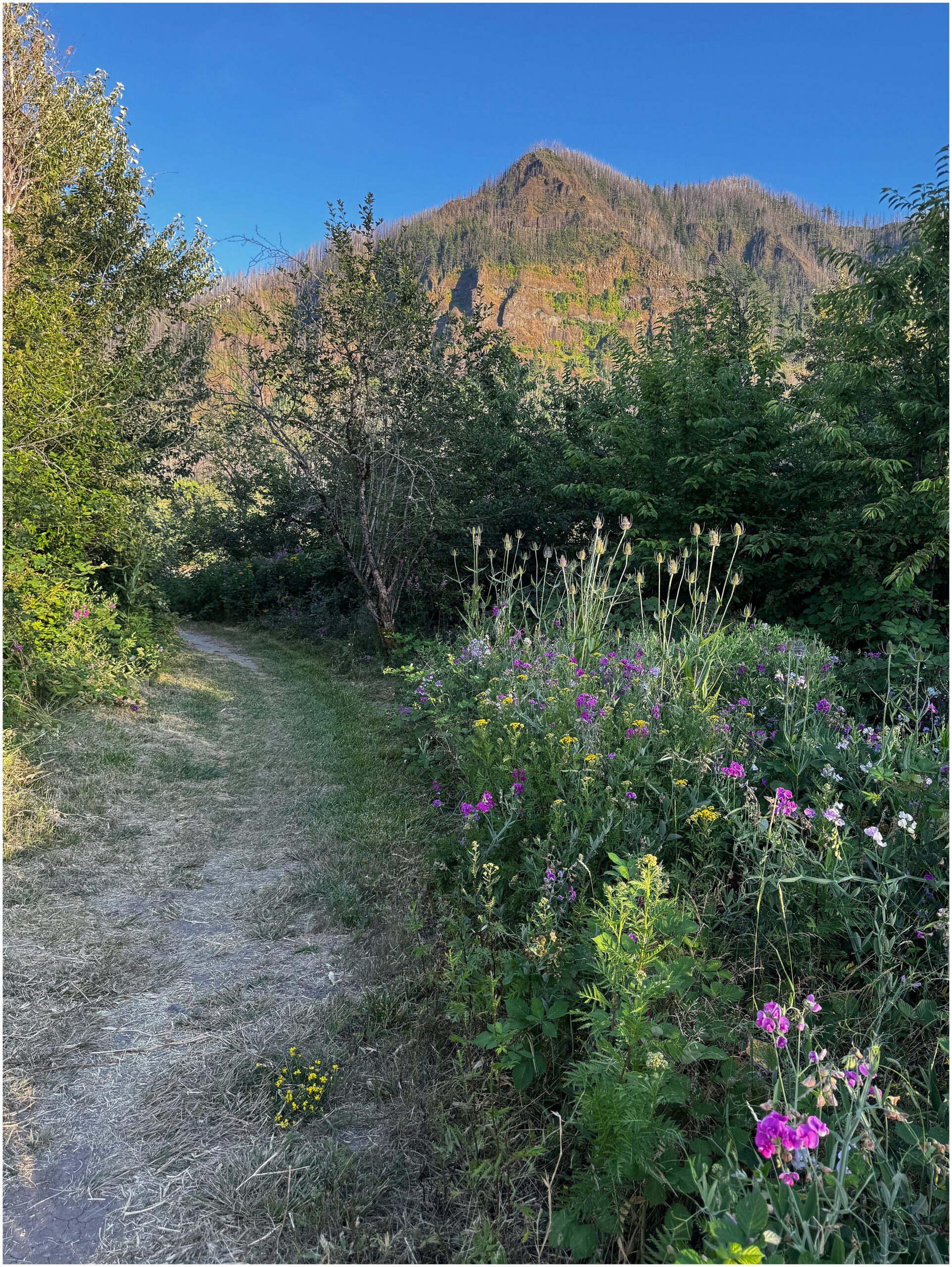 Shelly Fry Photography